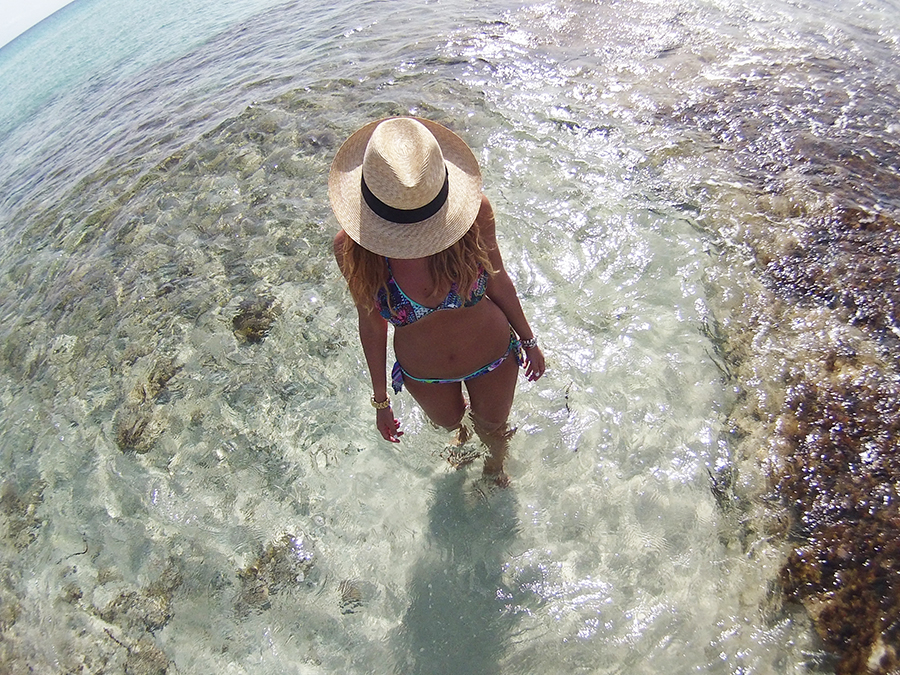 Summer Holidays